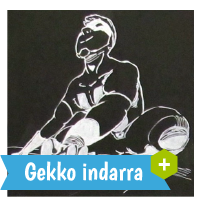 Gekkoindarra