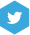 Logo Twitter